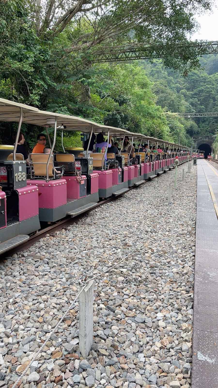 舊山線鐵道自行車-1