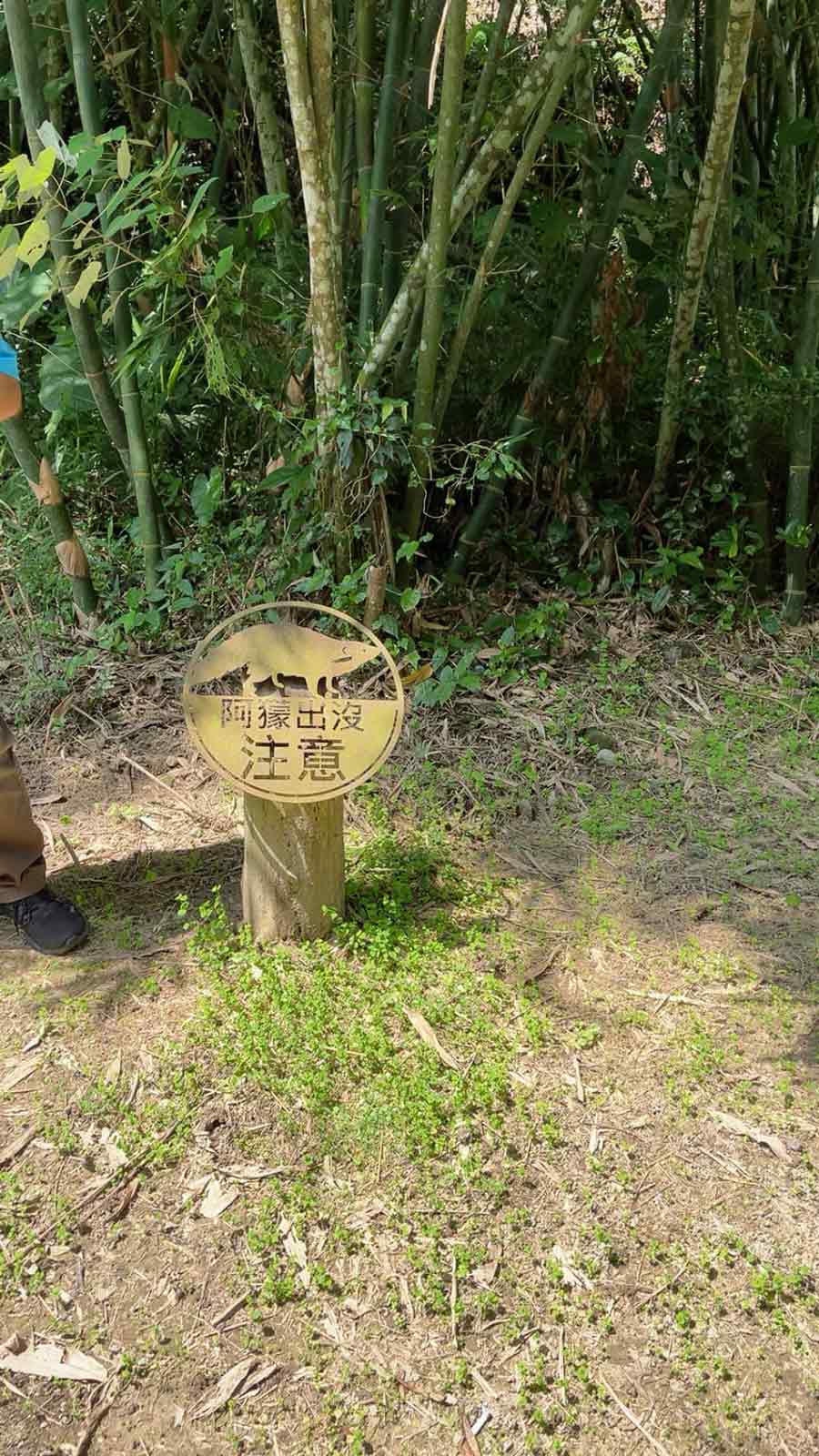 魚藤坪古道